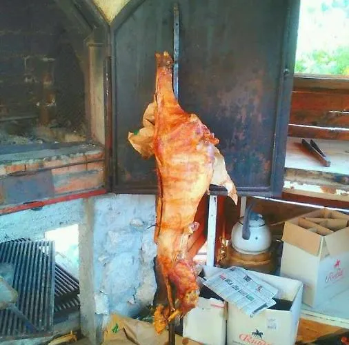 Ms Stojic * Nova Varoš