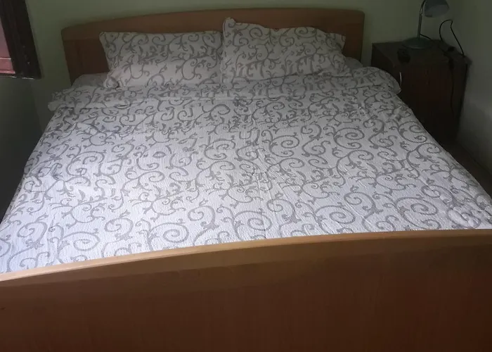 Ms Stojic Nova Varoš